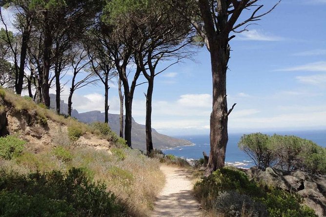Pipetrack Hike for the Whole Family on Table Mountain - PRIVATE - Key Points
