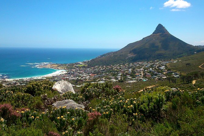 Pipetrack Hike for the Whole Family on Table Mountain - PRIVATE - Meeting Point and Pickup