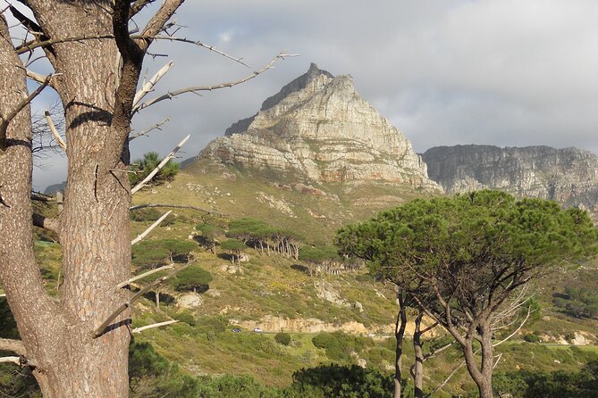 Pipetrack Hike for the Whole Family on Table Mountain - PRIVATE - Private Hike Details