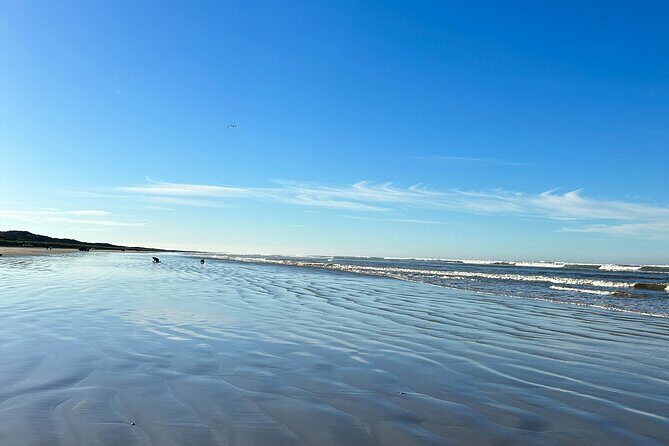 Pipi Catching and Cooking Experience in Goolwa - An In-Depth Look at the Goolwa Pipi Experience
