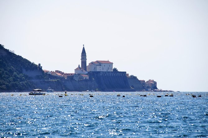 Piran and Portoroz Pearls of the Slovenian Adriatic Coast Half Day Trip From Ljubljana - Traveler Experiences