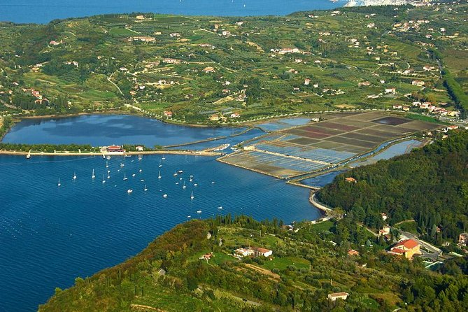 Piran and Scenic Slovenian Coast-Private Experience From Koper - Transportation and Accessibility