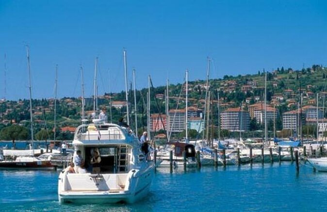 Piran and Scenic Slovenian Coast - Private Tour From Trieste - Transportation and Logistics