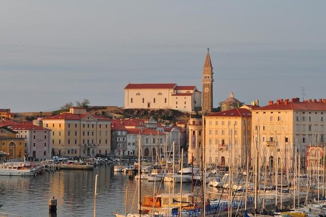 Piran and Scenic Slovenian Coast - Private Tour From Trieste - Customizable Tour to Suit Preferences