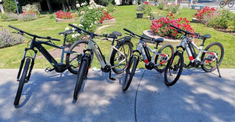 Piran: E-Bike Slovenia, Bike Rental - Feedback Highlights