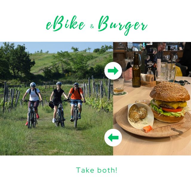 Piran: E-Bike&Burger in Istria - Booking and Cancellation Policy