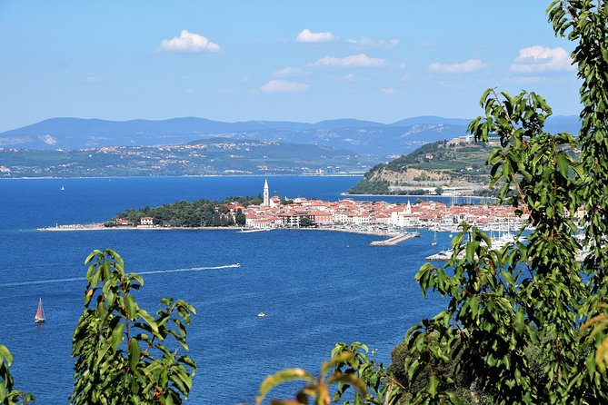 Piran & Panoramic Slovenian Coast - Shore Excursion From Trieste - Additional Information