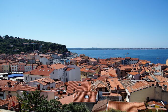 Piran & Panoramic Slovenian Coast - Small Group Tour From Koper - Convenient Pickup and Drop-off