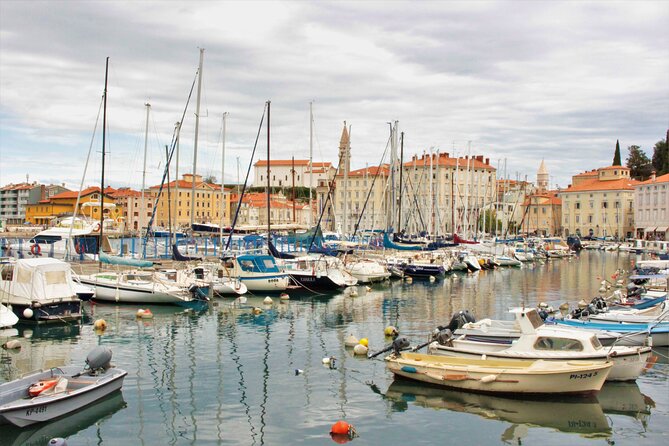 Piran & Panoramic Slovenian Coast - Small Group Tour From Koper - Accessibility and Inclusivity