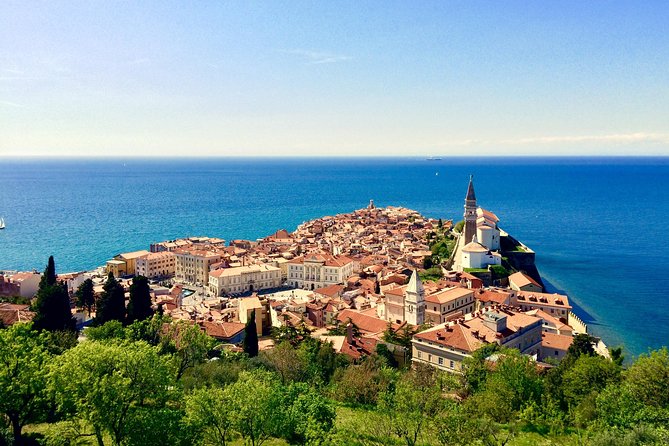 Piran Walking Tour With Local Wine and Food Tasting - Meeting Point and Pickup Details
