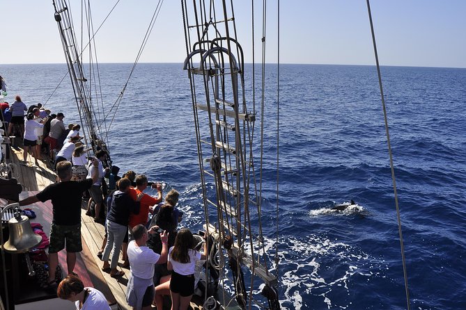 Pirate Adventure Boat Tour With Lunch in Fuerteventura - Transportation and Accessibility