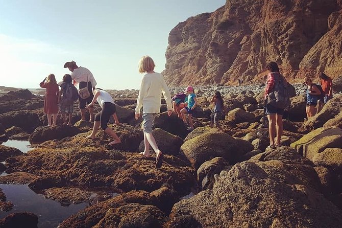 Pirate Sea Cave Tide Pool Walk at Dana Point - Reviews and Feedback