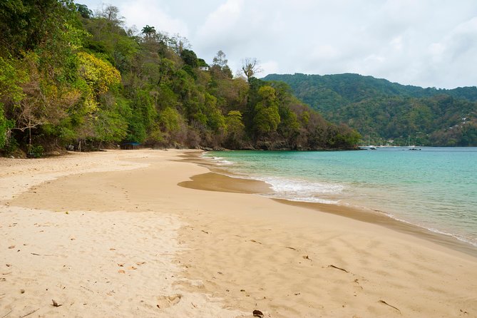 Pirates Bay Day Trip With Lunch - Pricing and Booking