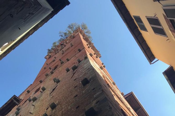 Pisa and Lucca From the Livorno Cruise Port - Booking Information