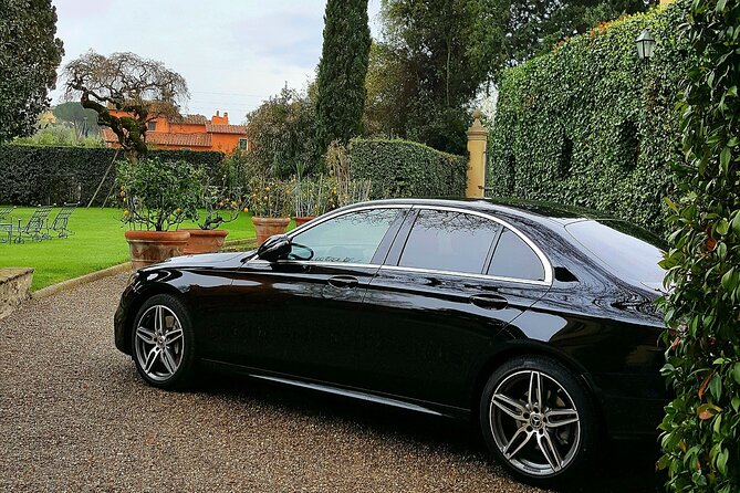 Pisa and Lucca Hire a Driver Limousine Service - Tour Highlights