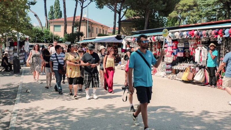 Pisa: Half-Day Afternoon Tour From Florence - Experience Highlights