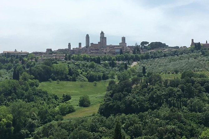 Pisa, Volterra and San Gimignano Private Tour From Florence - Accessibility Information