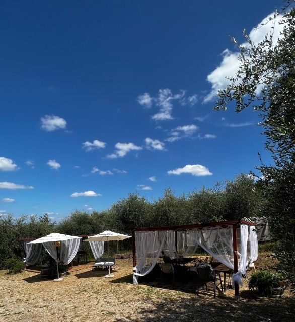 Pisa: Winery Tour and Wine Tasting With Local Food Pairing - Key Points