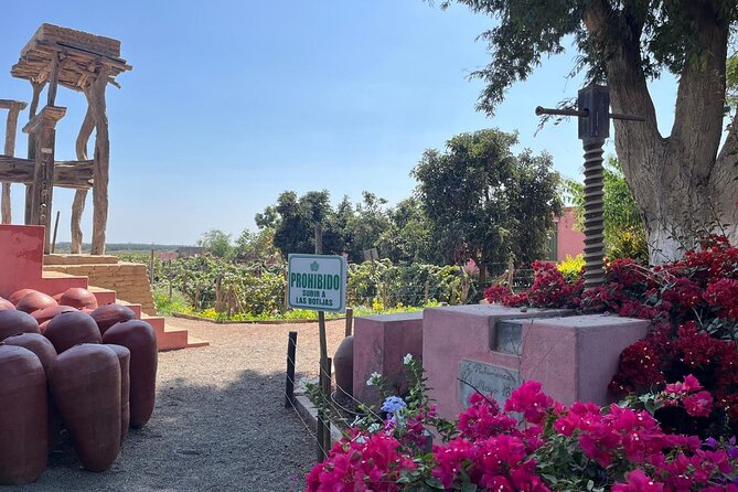 Pisco and Huacachina Buggy Tour at Sunset - Lunch at Fundo El Arrabal