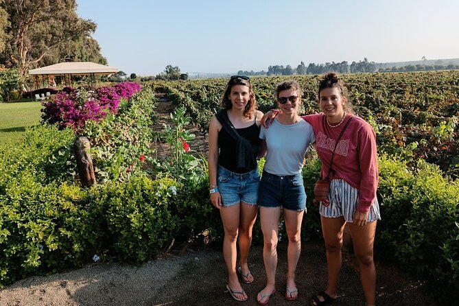 Pisco and Wine Route, Huacachina, Buggies, Sandboard and Sunset - Fundo - Hotel El Arrabal: Vineyard Experience