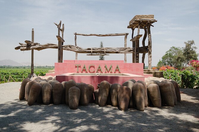Pisco and Wine Route, Huacachina, Buggies, Sandboard and Sunset - Thrilling Buggy Rides and Sandboarding
