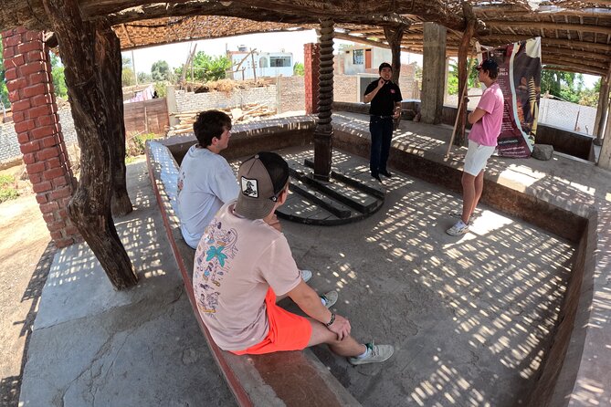 Pisco Route, Buggies and Sandboarding in the Ica Desert From Paracas - Tacama Winery Ticket