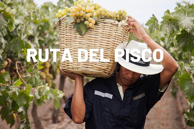 Pisco Route in Ica - Key Points