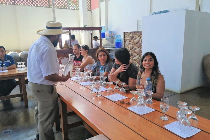 Pisco Route: La Caravedo, Tacama, and Nietto Vineyard - Tour Inclusions