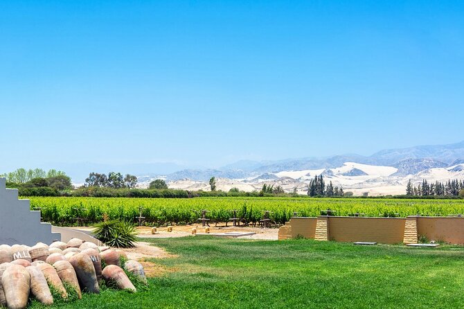 Pisco Route: La Caravedo, Tacama, and Nietto Vineyard - Additional Information and Reviews