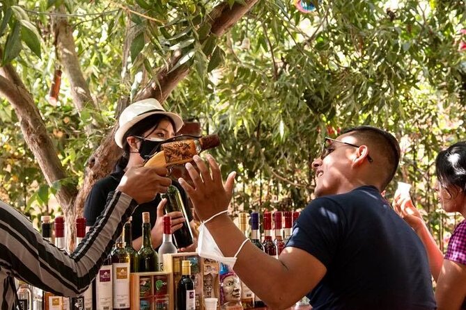 Pisco Route: La Caravedo, Tacama, and Nietto Vineyard - Discovering Tacama Vineyard
