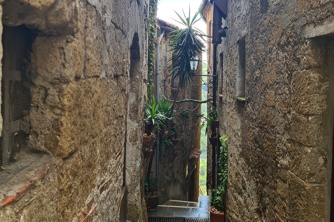 Pitigliano Private Walking Tour - Navigating the Private Walking Tour