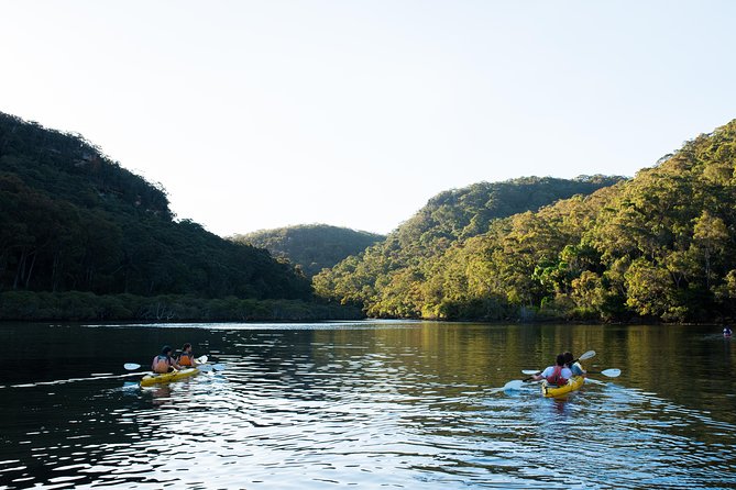 Pittwater Discovery Kayaking Tour - Break Activities