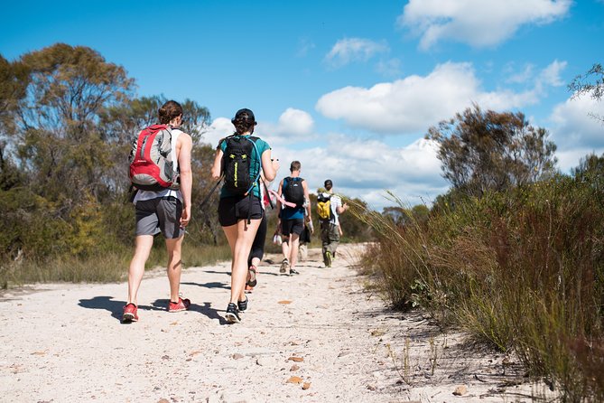 Pittwater Discovery Kayaking Tour - Equipment Provided