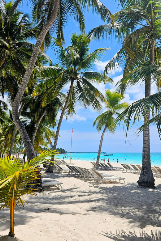 Pivate Boat Saona Island Day Trip With Snorkeling and Lunch - Key Points