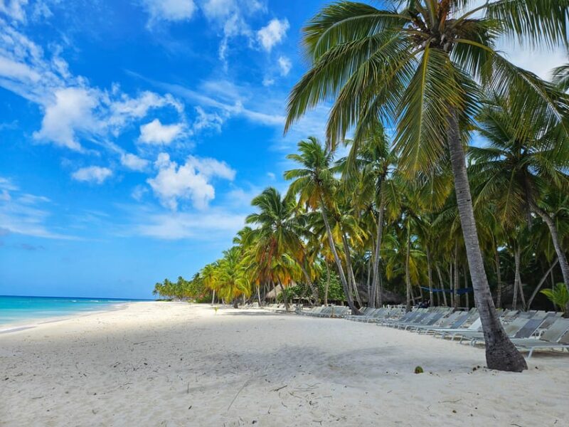 Pivate Boat Saona Island Day Trip With Snorkeling and Lunch - Snorkeling and Marine Life