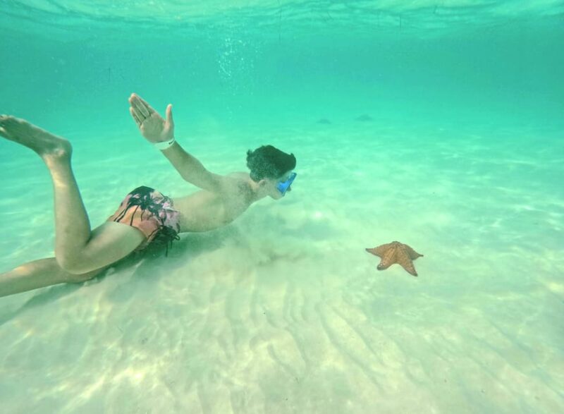 Pivate Boat Saona Island Day Trip With Snorkeling and Lunch - Relaxation and Free Time