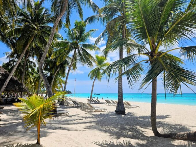 Pivate Boat Saona Island Day Trip With Snorkeling and Lunch - Recap