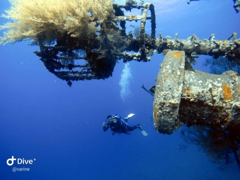 Pivate Scuba Diving in the Red Sea of Aqaba - Training and Certification Courses