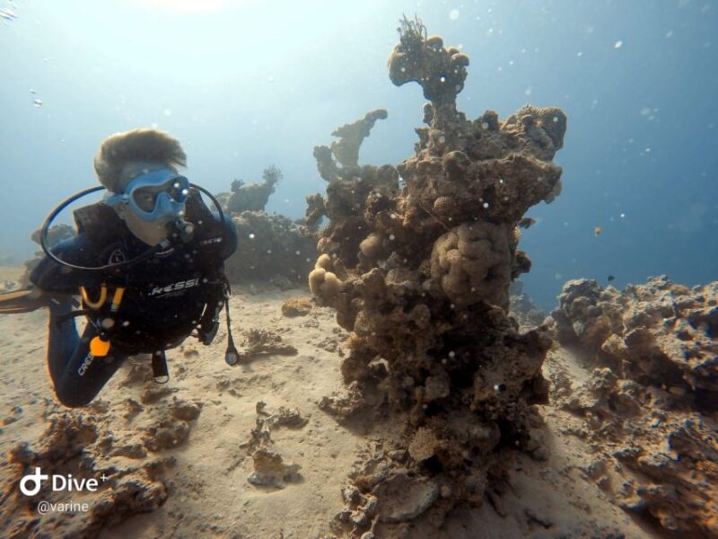 Pivate Scuba Diving in the Red Sea of Aqaba - Scuba Diving Equipment and Gear