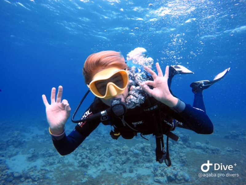 Pivate Scuba Diving in the Red Sea of Aqaba - Professional Diving Instructors and Guides