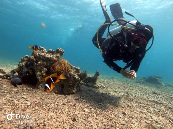 Pivate Scuba Diving in the Red Sea of Aqaba - Booking and Cancellation Policies