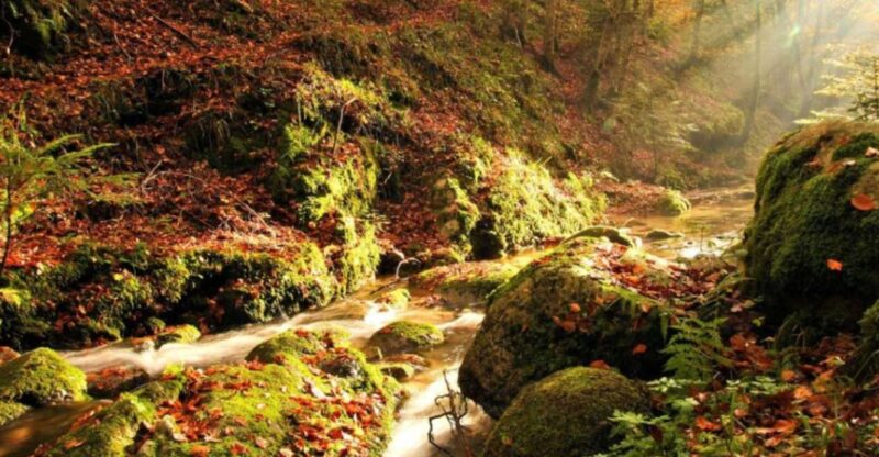 Pizzo: Scolacium Archaeology Park & Serre Natural Park Tour - Inclusions and Amenities