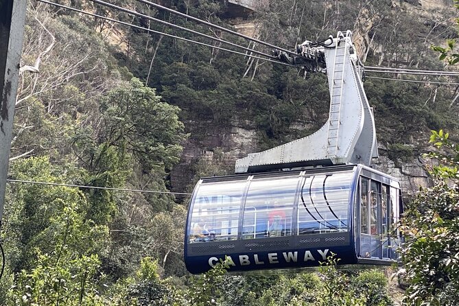 PJ Blue Mountains Supreme Small Group [MAX8+1] - Scenic World Experiences