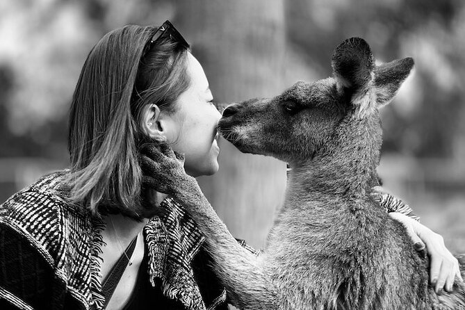 PJ Blue Mountains Supreme Small Group [MAX8+1] - Pickup Locations and Details
