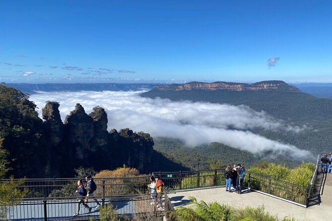 PJ Blue Mountains Supreme Tour (Private Charter) - Pricing