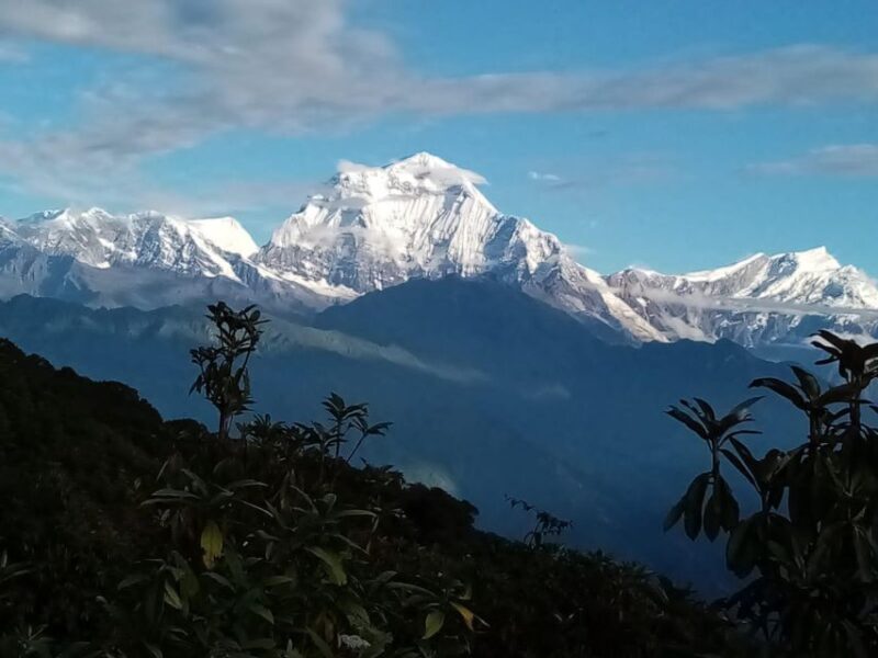 Pkr :4 D,Budget Backpackerers Group Poon Hill Trek (Fix Dep) - Who Should Avoid
