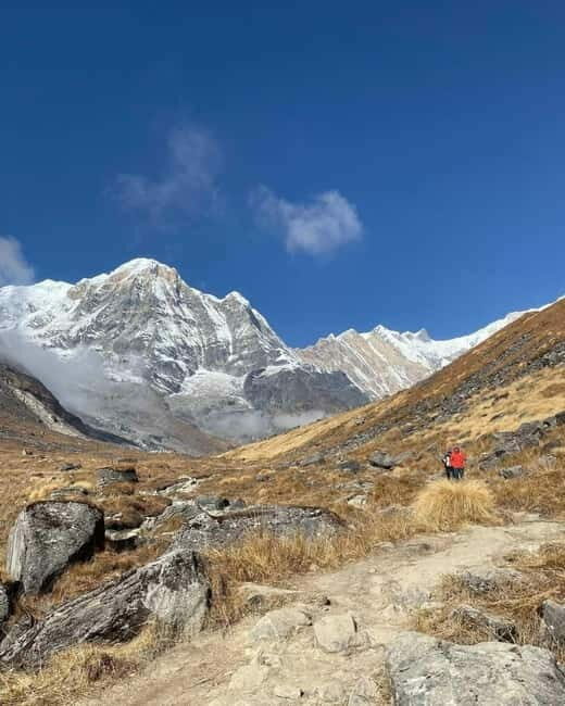 Pkr/Kathmandu: 5-Day Annapurna Base Camp & Hot spring Trek - The Fourth Day: Return to Sinuwa or Bamboo