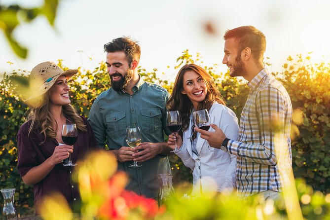 Placer County Wine Tasting Pass - Accessibility Options
