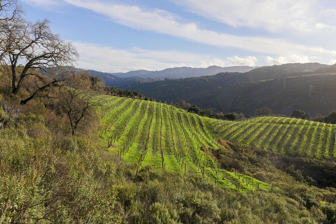 Placer County Wine Tasting Pass - Customer Reviews and Ratings