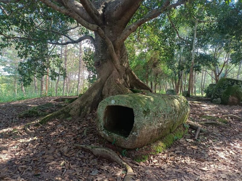 Plain of Jars Private Tour - Key Points